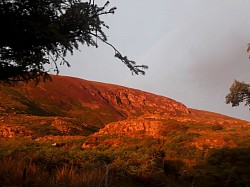 Wedding location