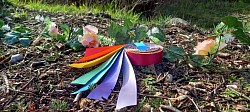 Handfasting wedding